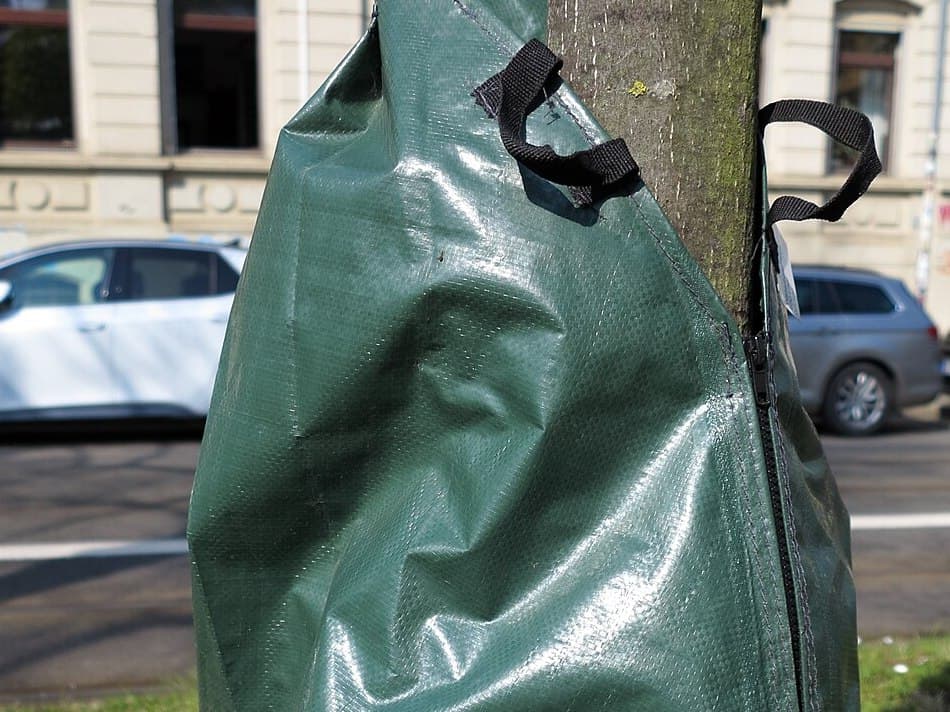 A green slow-release watering bag zipped around the trunk of a young street tree