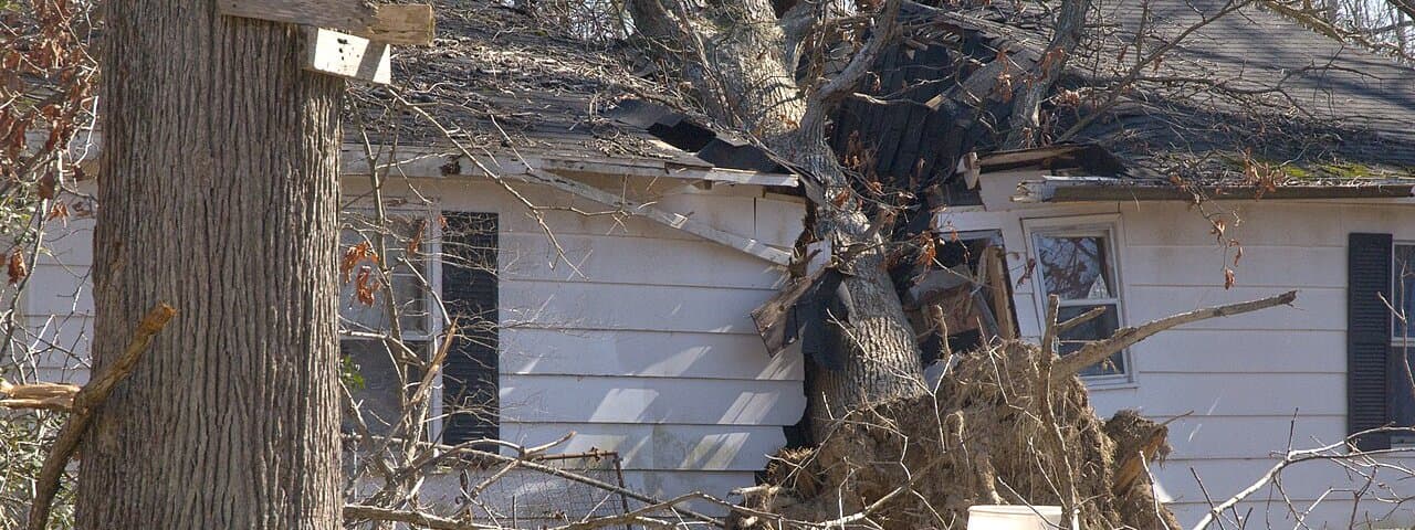 A tree trunk driven through the roof and wall of a single-storey house, with branches and debris covering the ground in front of it